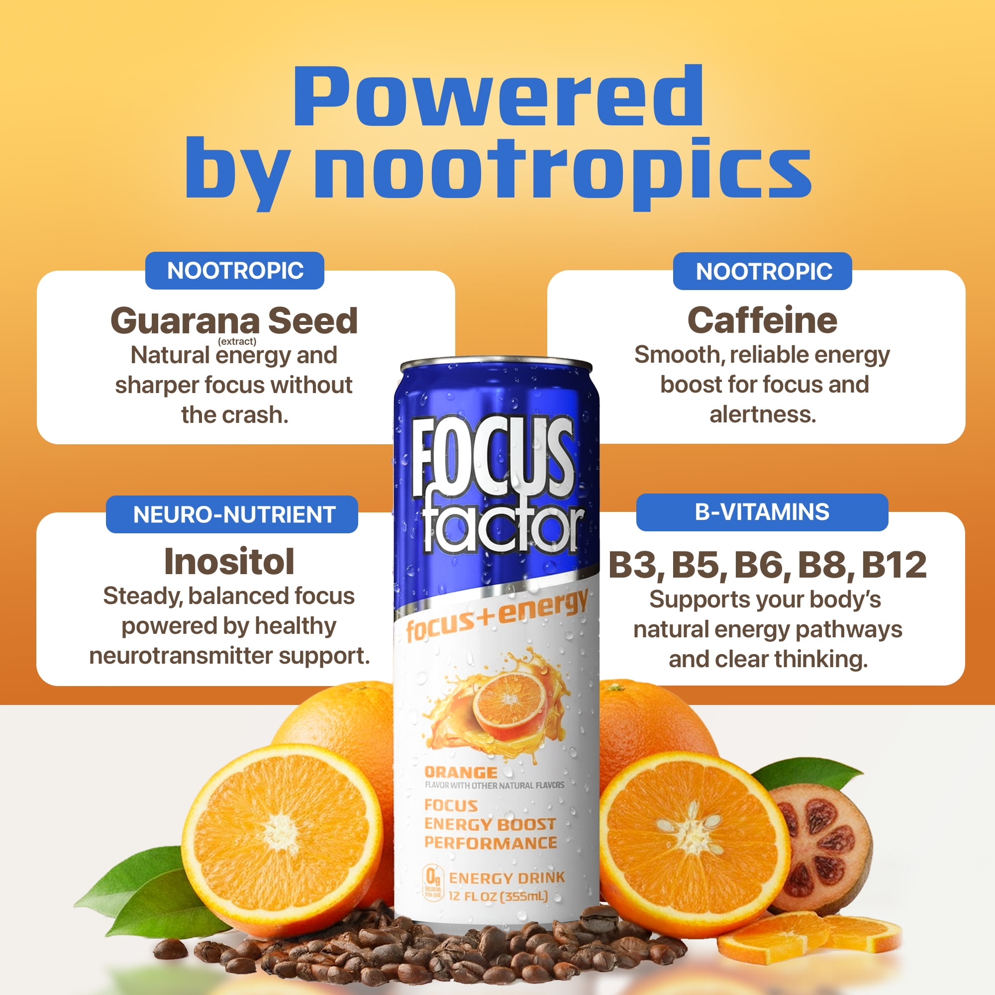 Focus Factor Energy Drink - 12 x 355ml Cans (Orange Flavor) - with Focus + Energy - Sugar Free, Low Calorie with Vitamin B6 & Vitamin B12