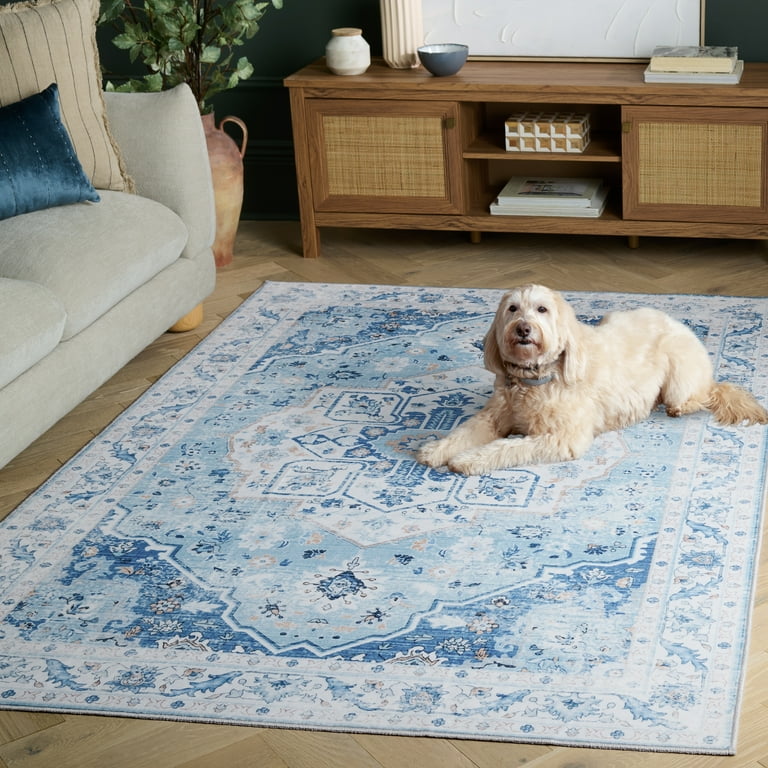 SAFAVIEH Arizona Thames Oriental Machine Washable Area Rug, Light