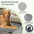 thumbnail image 5 of Reyox Cooling Elevated Dog Bed for Large Dogs, Breathable Mesh, Washable Chew Proof, Black, 36 x 32 x 6.5 in, 5 of 10