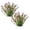 C*2, variant on 1 Pcs Fish Tank Artificial Plant, Aquarium Plastic Seaweed Decoration, Plastic Fish Tank Plant Decoration