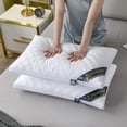 thumbnail image 2 of Par de almohadas especiales para hotel con núcleo de almohada, protección para el cuello individual, terciopelo, una pieza, 2 of 3