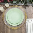 thumbnail image 4 of Balsa Circle 10 Round 10" Sage Green Glossy Disposable Salad Dinner Plastic Plates Gold Trim Party Events Decorations, 4 of 8