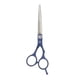 thumbnail image 1 of Tijeras profesionales para cortar el pelo, tijeras de barbero, tijeras de peluquería de dientes planos, herramienta de peluquería azul, 1 of 12