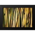 thumbnail image 2 of Robertson, Leda 24x17 Black Modern Framed Museum Art Print Titled - Desert Grasses I, 2 of 5