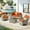 Coarse Orange Red, variant on Ovios 6 Pieces Patio Furniture Set with Swivel Rocking Chair All-Weather Wicker Outdoor Conversation Sectional Set with Solar Lamps Coffee Table