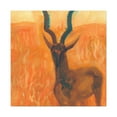 thumbnail image 4 of Antelope in Morning Sun - Canvas, 4 of 25