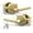 Satin Brass, variant on Mega Handles Raegen Keyed Entry Lever Door Handle Satin Brass Zinc Easy Install 2 Pack Keyed-Alike