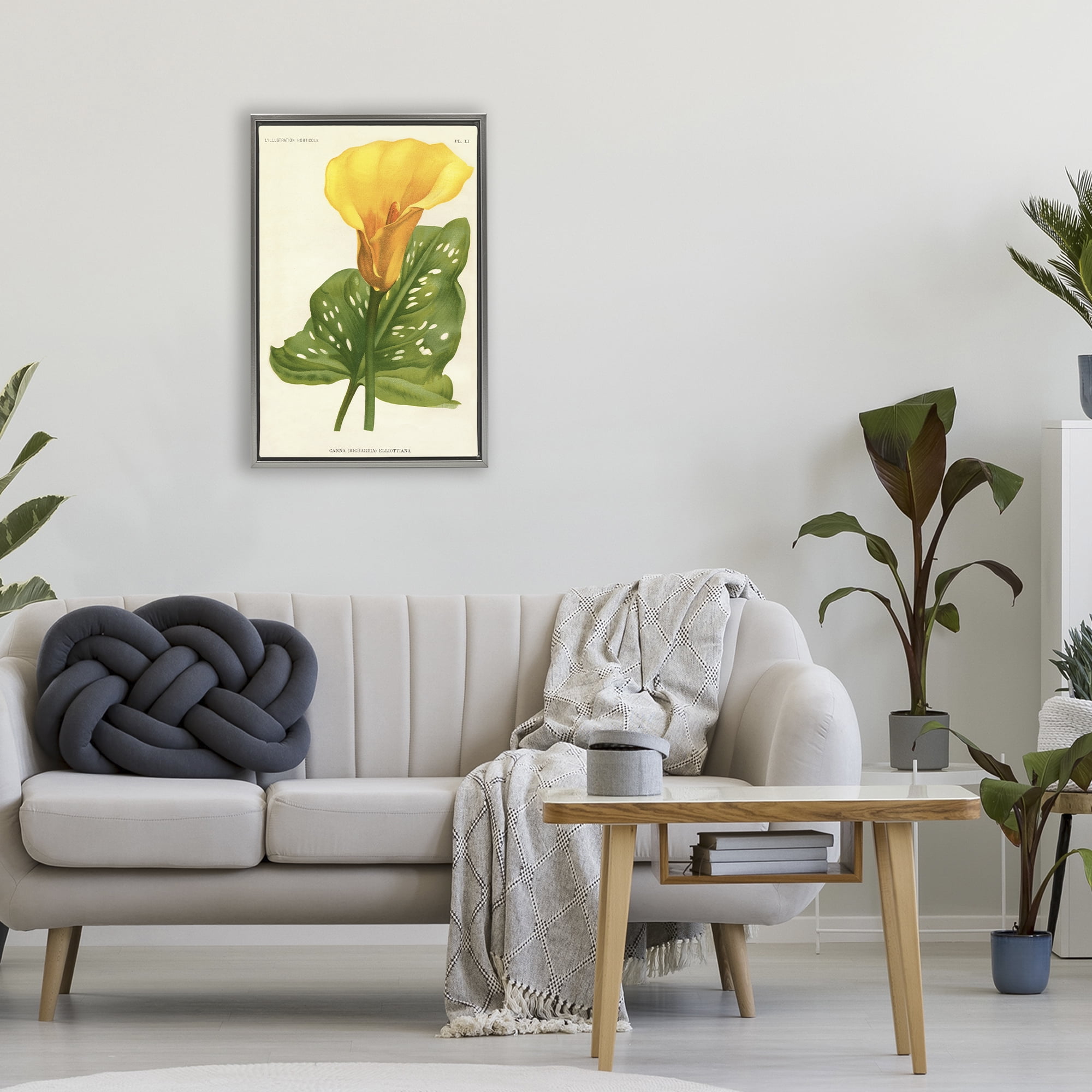 Stupell Industries Yellow Canna Lily Gray Framed Floater Canvas Wall Art, design by Print Collection