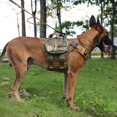 thumbnail image 4 of Arnés táctico para perros ICEFANG GN3 con hebilla 6X Coyote Brown, 4 of 5