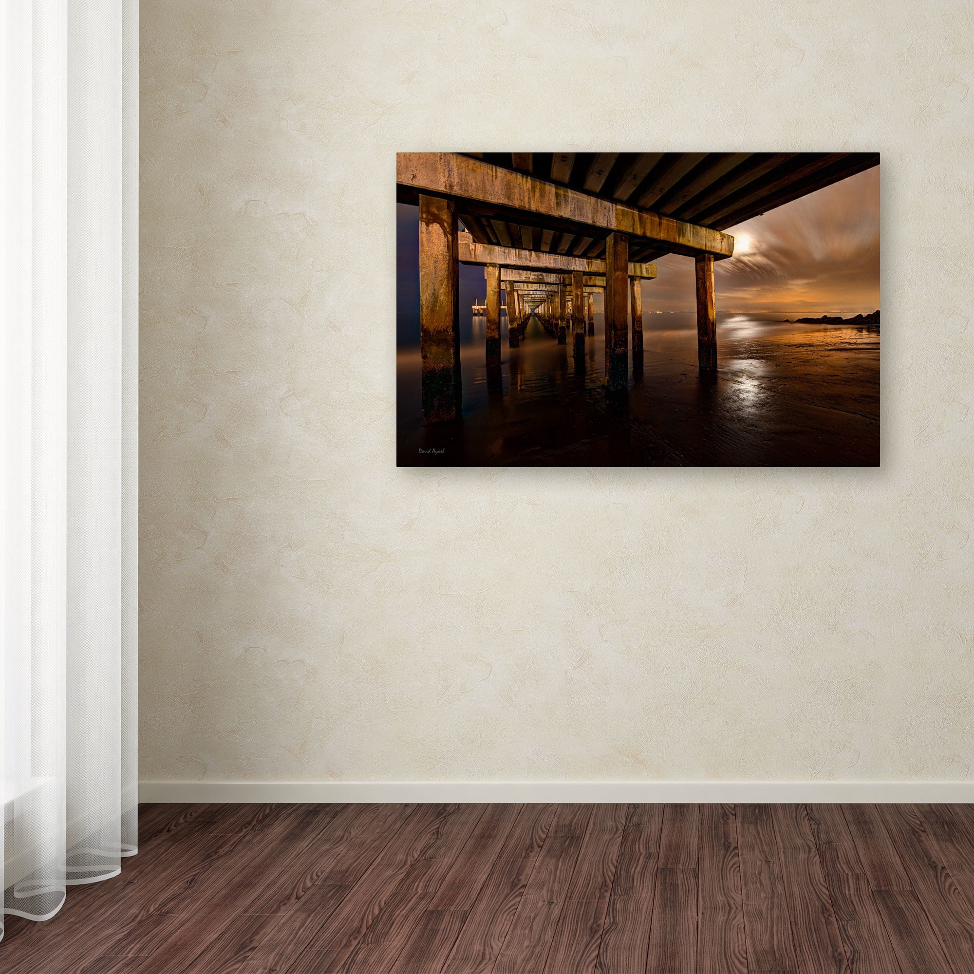 Trademark Fine Art "Coney Island - Brooklyn, NY II" Canvas Art by David Ayash