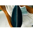 thumbnail image 4 of Gouchee Home Solid Velvet Coussin, 4 of 5