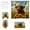 I, variant on Highland Cattle Bathroom Set Highland Cattle Print Bathroom 4-Piece Set Shower Curtain with Hooks Bath Mat Toilet Lid Cover U-Shaped Rug Waterproof Themed Decor Cattle Print Shower Curtain