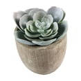 thumbnail image 3 of Luxshiny Planta Falsa Decorativa Verde Ideal Para Estantes Y Balcones Con Aspecto Natural, 3 of 4