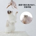 thumbnail image 5 of Unique Bargains 3pcs Cat Feather Plaything Cat Wand Replacement Feather Fluffy Plume for Pet Interactive Gray Brown, 5 of 5