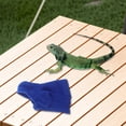 thumbnail image 4 of BESTYASH Sencilla Para Dragón Barbudo Ropa Cálida Para Reptil Azul Especial, 4 of 8