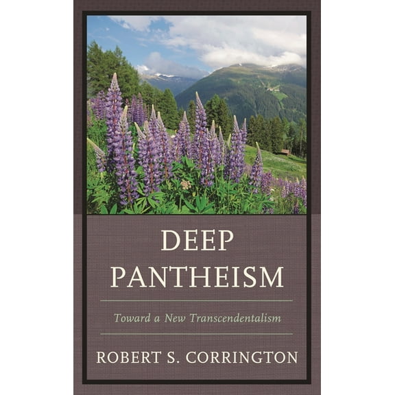 Deep Pantheism : Toward a New Transcendentalism (Paperback)