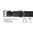 thumbnail image 4 of Derby Dog Designer Series USA Leather Padded Dog Collar with Swarovski Crystal Inlay - 12", 4 of 6
