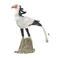 thumbnail image 2 of Estatuilla de Animales Salvajes CUTICAT Secretaria Modelo de Pájaro, 2 of 8
