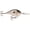 Silver, variant on Rapala Dives-To 10 Old School