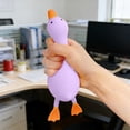thumbnail image 6 of Dwellin Stretchy Duck Squeeze Toys Stress Relief Funny Fidget Toys for Adults and Kids Party Favors Gift for Birthday Christmas Classroom Prizes Purple, 6 of 6