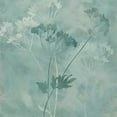 thumbnail image 2 of Coulter, Cynthia 20x20 White Modern Wood Framed Museum Art Print Titled - Gentle Nature III, 2 of 4