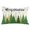 Green White, variant on Waterproof Outdoor Throw Pillows with Inserts 16"x16", Vintage Coffee Time Soft Decorative Pillowcases for Couch Bedroom, Farmhouse Desserts Brwon White Plaid Pillow Covers for Sofa Living Room