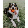 thumbnail image 5 of Chuckit! Fetch Ball Large Durable Rubber Fetch Ball Dog Toy, 5 of 5