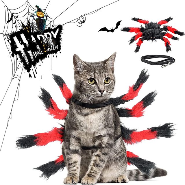 Disfraces arácnidos para mascotas. Disfraces de Halloween para gatos y perros. Arañas suaves y ajustables para divertidas fiestas de disfraces.