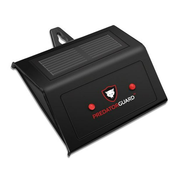 Solar Powered Predator Deterrent Light Scares Nocturnal