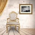 thumbnail image 3 of Deiter, Lori 18x13 Gold Ornate Wood Framed with Double Matting Museum Art Print Titled - Daisy, 3 of 4
