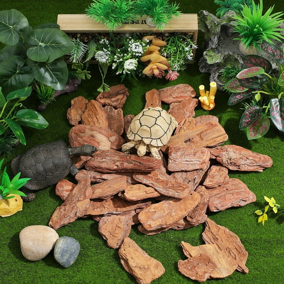 STOBOK 1Pack Turtle Box Landscaping Decor Brown Pine Bark Fine Polishing Natural Reptile Decor