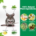 thumbnail image 3 of 30 Pack Natural Mouse Repellent Pouches - Rodent Repellent Peppermint Oil Formula, Protectionfor Home, Car & Garden, Pet Safe, 3 of 7