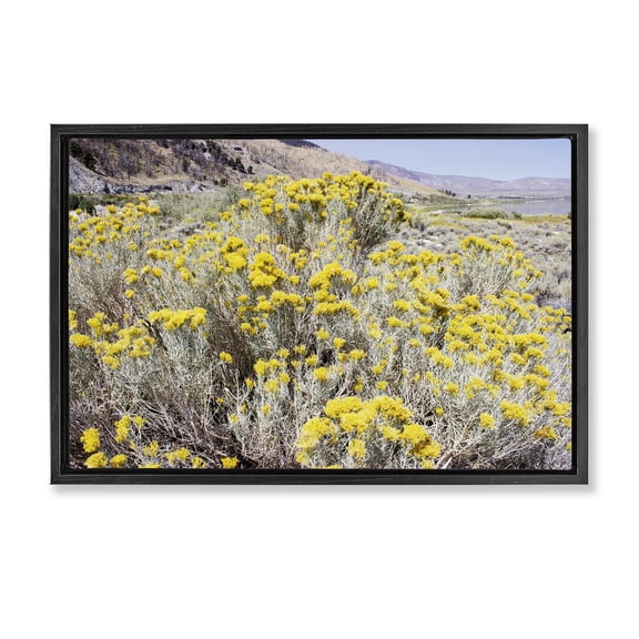 Stupell Industries Yellow Flowers in Arid Meadow Landscape & Nature Photography Black Floater Framed Canvas Art Print Wall Art, 25 x 17