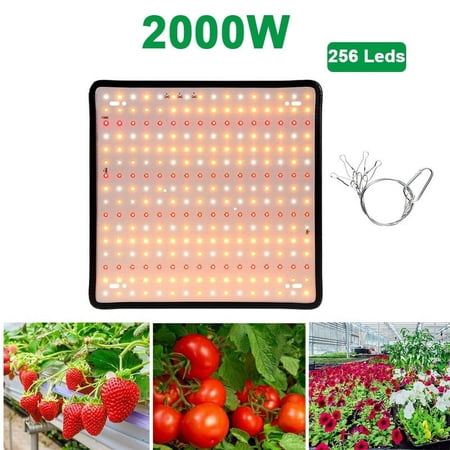 Full Spectrum LED Grow Light 2000W Plant Bulbs Hydroponic Lamp 1000W 1500W Greenhouse Fito Lamps Flower Growth Lighting Box Higher Efficiency
