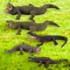 thumbnail image 5 of Juguetes de simulación de animales perfecl 5 piezas educativos PVC, 5 of 8