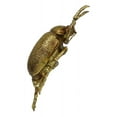 thumbnail image 4 of Modern Chic Gold Leaf Carpet Beetle Resin Wall Sculpture Or Table Decor, 4 of 10