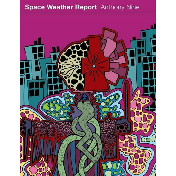Space Weather Report, (Paperback)