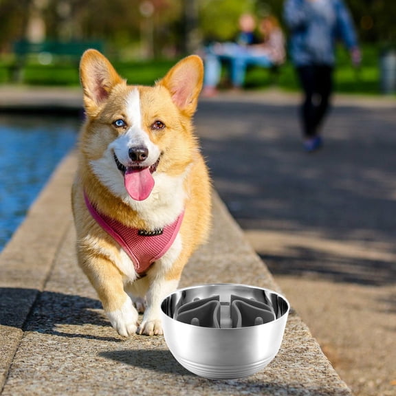 Hemoton 3-Pack Slow Feeder Bowls for Dogs and Cats, Puzzle Pet Feeding Bowls in Dark Grey for Puppies