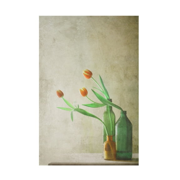 Canvas Wall Art - Delphine Devos 'Three Tulips' Wall Art for Living Room, Bedroom, or Office Décor by Trademark Fine Art - 12 x 19 Inches