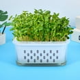 thumbnail image 4 of Hemoton 2pcs Seedling Pots With Drainage Soilless Sprouting Planting Pots Clear Nursery Transplanting Containers Gardening Accessories, 4 of 8