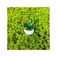 thumbnail image 5 of 4pcs Realistic Mini Plush Potted Plants, Landscape Country Style Succulent Artificial Plants, Suitable For Home Decoration, 5 of 5