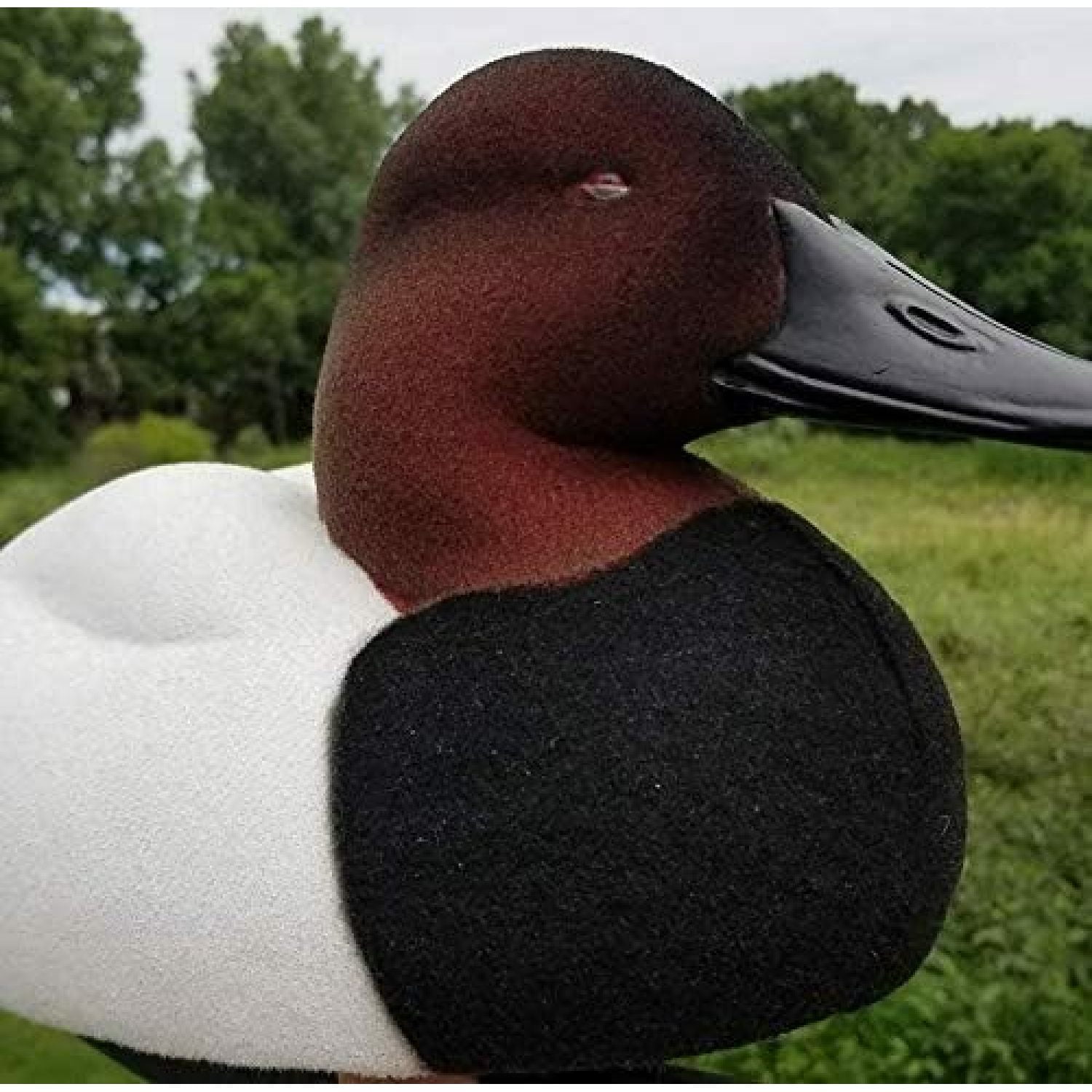 Bull Canvasback Full Body Decoy Flocking Kit