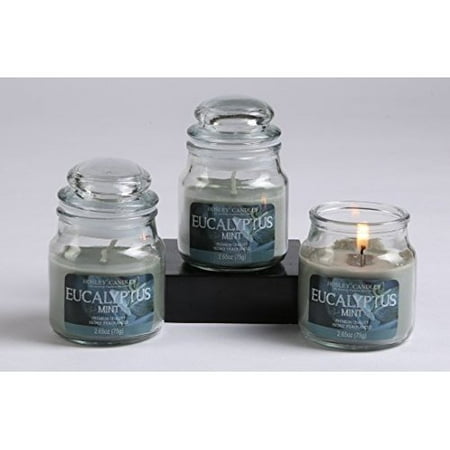 - Hosley Set of 3 Eucalyptus Mint Highly Scented, 2.65 Oz Wax, Jar Candle. Ideal votive GIFT for party favor, weddings, Spa, Reiki, Meditation, Bathroom settings
