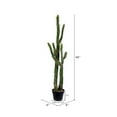 thumbnail image 3 of Vickerman 46" Artificial Green Cactus, Black Plastic Planters Pot., 3 of 5