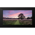 thumbnail image 2 of Frank, Assaf 14x9 Black Modern Framed Museum Art Print Titled - Pathway through meadow, 2 of 5