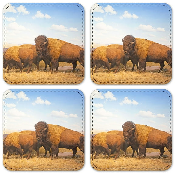 Vinyl Drink Coasters - Set of 4 - Buffalo