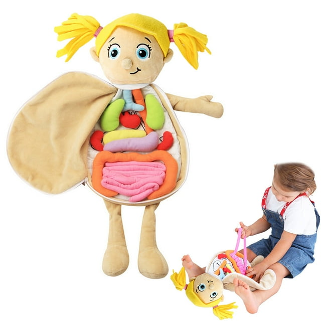 Jouet d'Anatomie du Corps Humain Poupée d'Organe Modèle d'Anatomie Poupée Préscolaire Orgue Éducatif Jouets en Peluche pour Enfants