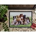 thumbnail image 3 of Springtime Dogs Doormat 18x27, 3 of 4
