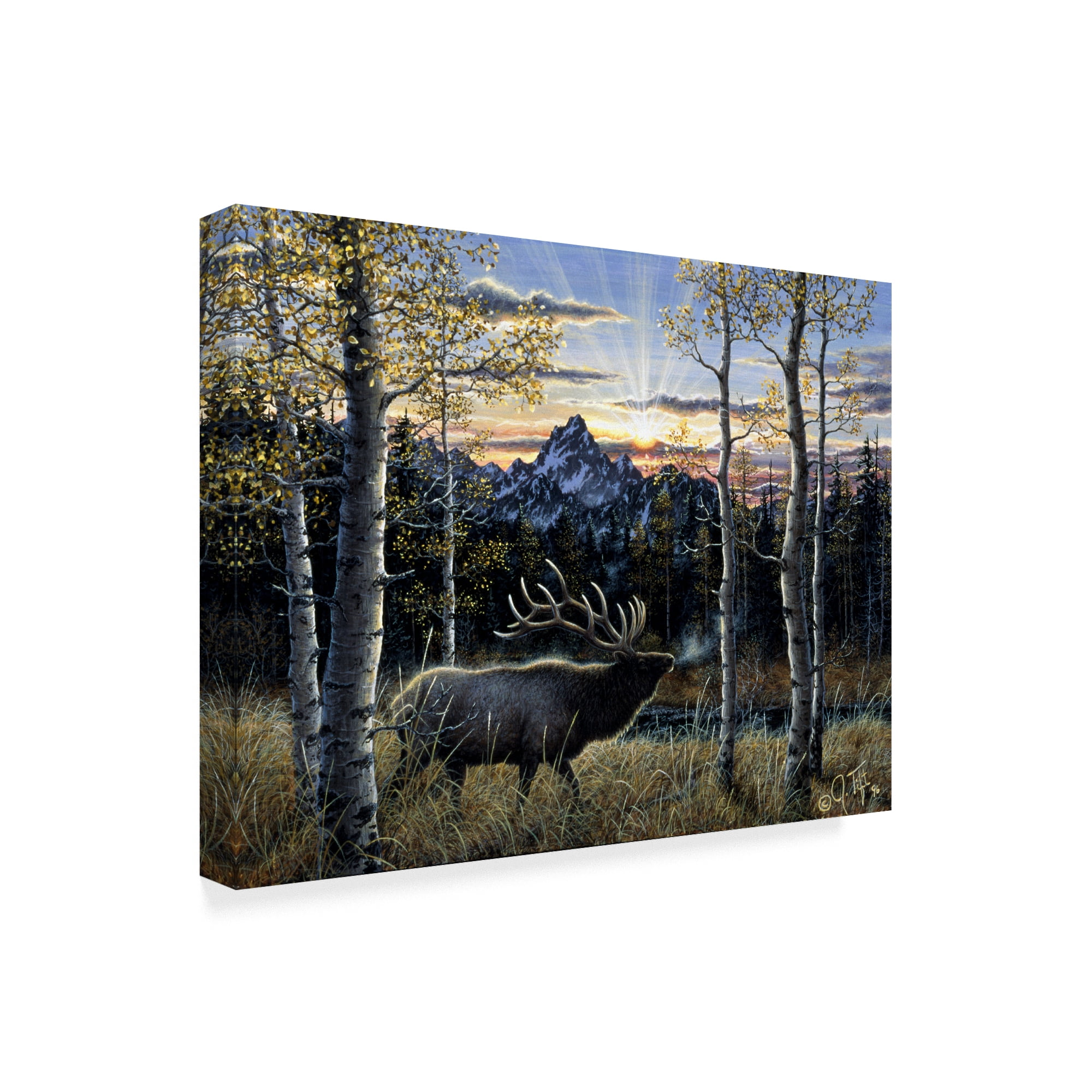Trademark Fine Art 'Dawn Of Light' Canvas Art by Jeff Tift