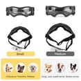 thumbnail image 4 of Gafas para perros PETLESO para razas pequeñas con protección UV, 4 of 5